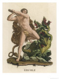Hydra Suffering at the Hands of Herakles Giclee Print by R.k. Bonatti
