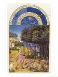 Swineherd Throws His Stick Among the Oak Branches to Bring Down the Acorns to Feed His Animals Giclee Print by Jean Colombe