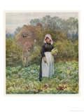 Picking Vegetables in an English Vegetable Garden Giclee Print by Helen Allingham Picking Vegetables in an English Vegetable Garden Giclee Print by Helen Allingham