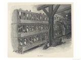 Battery Farming in 19th Century France Giclee Print by A. Brun