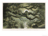 Fairies Asleep in the Moonlight Giclee Print by Richard Doyle