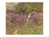 Girl Gathering Sticks in Kent Walks Through a Mass of Foxgloves Giclee Print by Helen Allingham