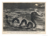 Don Sea Serpent Giclee Print by F. De Haanen