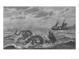 The "Sea-Serpent" Seen at Gloucester Bay Boston Massachusetts on Several Occasions Giclee Print by N. T. Gibson