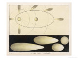 Diagram Showing Cometary Motion Giclee Print by Charles F. Bunt