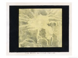 The Moon's Surface Showing Kepler, a Spot of Remarkable Brilliancy Lámina giclée por Charles F. Bunt The Moon's Surface Showing Kepler, a Spot of Remarkable Brilliancy Lámina giclée por Charles F. Bunt