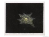 The Nebula of the Constellation Hercules reproduction procédé giclée par Charles F. Bunt