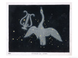 The Constellation of Cygnus, a Flying Swan, and Lyra, That of an Ancient Greek Lyre reproduction procédé giclée par Charles F. Bunt