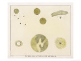 Diagram Showing Various Nebulous Stars and Nebulae reproduction procédé giclée par Charles F. Bunt