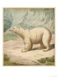 Polar Bear Stands in an Icy Setting Giclee Print by A. Baxter