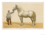 This 7-Year Old Stallion Understandably Won First Prize at the Agricultural Show at Niort Giclee Print by Olivier De Penne This 7-Year Old Stallion Understandably Won First Prize at the Agricultural Show at Niort Giclee Print by Olivier De Penne