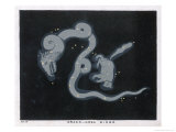 Ursa Minor and Draco reproduction procédé giclée par Charles F. Bunt