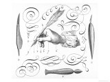 Quill Pen Giclee Print by Benard 