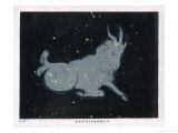The Constellation of Capricorn Giclee-trykk av Charles F. Bunt The Constellation of Capricorn Giclee-trykk av Charles F. Bunt