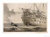 The First Unsuccessful Cable is Laid by Hms "Agamemnon": an Inquisitive Whale Crosses the Line Giclee Print by Robert Dudley