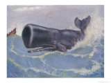 Sperm Whale Physeter Macrocephalus Giclee Print by Louis A. Sargent