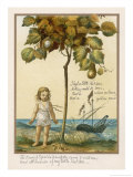 I Had a Little Nut Tree Nothing Would It Bear Giclee Print by Eleanor Vere Boyle