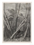 Gulliver Hides in a Field of Wheat Where a Countryman Will Find Him reproduction procédé giclée