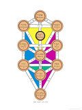 The Tree of Life of the Jewish Caballa Giclee Print by J.f.c. Fuller