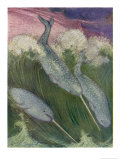 Narwhals Swimming Giclee Print by Louis A. Sargent