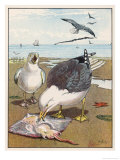 Common Gulls on a Beach Giclee Print by W. Foster