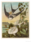 Thumbkinetta (Tommelise) Rides on a Swallow's Back Giclee Print by Eleanor Vere Boyle