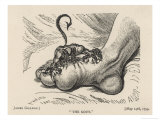 Little Devil Sinks His Teeth into the Swollen Foot of a Gout Sufferer reproduction procédé giclée par James Gillray