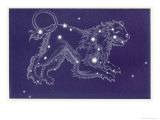 Lion Reproduction procédé giclée par Roberta Norton