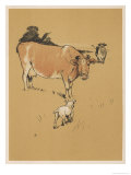 White Bulldog Approaches a Docile-Looking Cow in a Field Giclee Print by Cecil Aldin