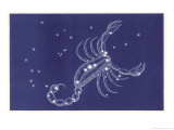 Scorpion Reproduction procédé giclée par Roberta Norton