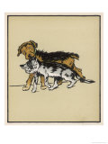 Dog Pulls a Cat Along by the Scruff of Its Neck Giclee Print by Cecil Aldin