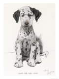 Loopy the Ugly Puppy Giclee Print by Cecil Aldin