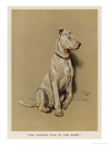 The Ugliest Dog in the Show Giclee Print by Cecil Aldin