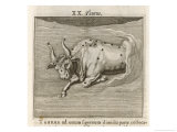 Zodiaque reproduction procédé giclée par Gaius Julius Hyginus