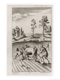 Roman Farmers Plowing with Oxen reproduction procédé giclée par Michael van der Gucht