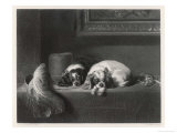 King Charles Spaniels the Cavalier Pets Giclee Print by J. Outrim