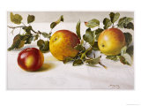 Apples and a Bit of Foliage Lámina giclée por Moettler