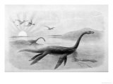 Plesiosaurus Dolichodeirus Giclee Print by J. Smit