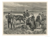Captain Boycott Harvests His Corn Crop Under Police Protection Despite Threats from the Land League reproduction procédé giclée par J. Nash