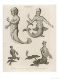 Mermaids Exhibited in London in 1758 1775 and 1794 Giclee Print by J. Pass