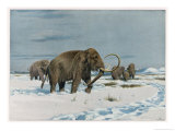 Mammoth Herd During the Ice Age Giclee Print by Wilhelm Kuhnert