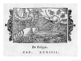 Giant Polyp Giclee Print by Olaus Magnus