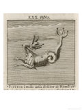 The Constellation of Pistrix the Sea Monster reproduction procédé giclée par Gaius Julius Hyginus