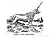 The Figure of the Camphur an Amphibious Beast Found in Ethiopia a Species of Unicorn Giclee Print by Ambroise Pare