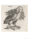 Johnstone Includes the Harpy in His Natural History of Birds Giclee Print by John Johnstone