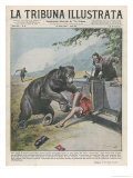 In Yellowstone a Bear Pats a Woman in a Car Giclee Print by Vittorio Pisani
