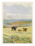 Picking Daffodils for the Market St. Mary's Scilly Isles Giclee Print by Jessie Mothersole Picking Daffodils for the Market St. Mary's Scilly Isles Giclee Print by Jessie Mothersole
