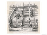 Multi-Level Silkworm Rearing-House or Cocoonery in France Giclee Print by Hildebrand 
