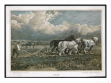 Ploughing with a Three-Horse Team Giclee Print by W.h. Hopkins