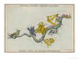 Hydra Constellation Including an Owl a Raven and a Sextant reproduction procédé giclée par Sidney Hall